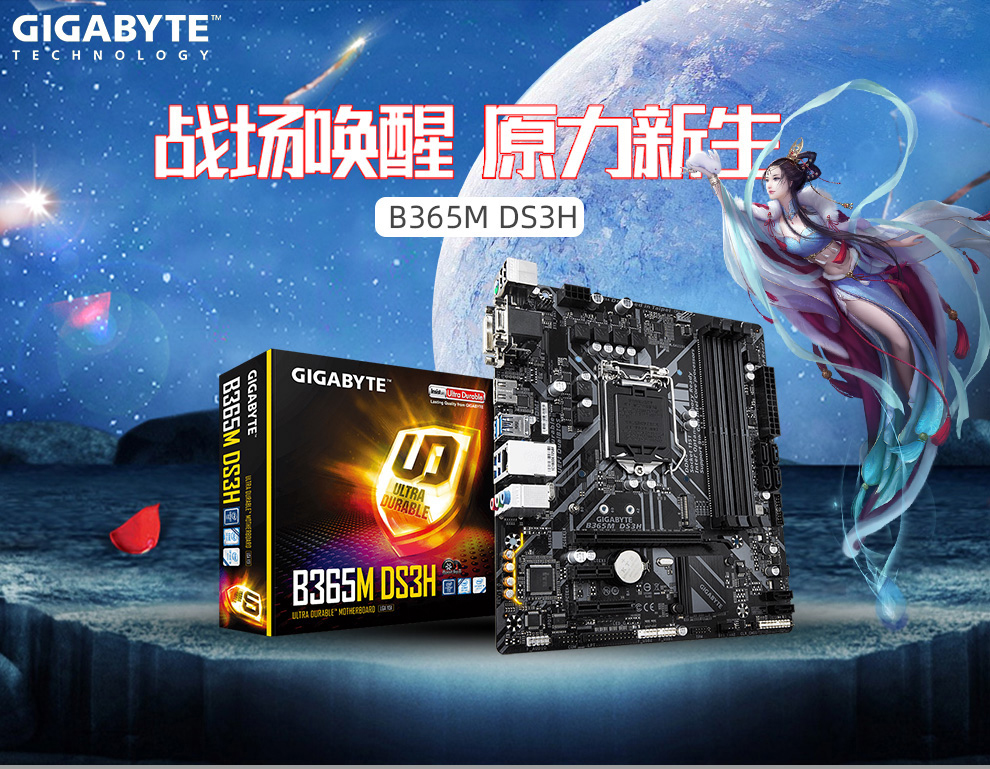 GT650 显卡与 G31 主板结合，性能不匹配令人疑惑  第4张