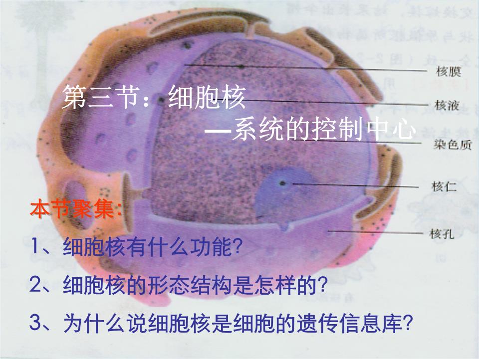 E3-1230V3：令人心动的神秘电子产品，你了解多少？  第2张