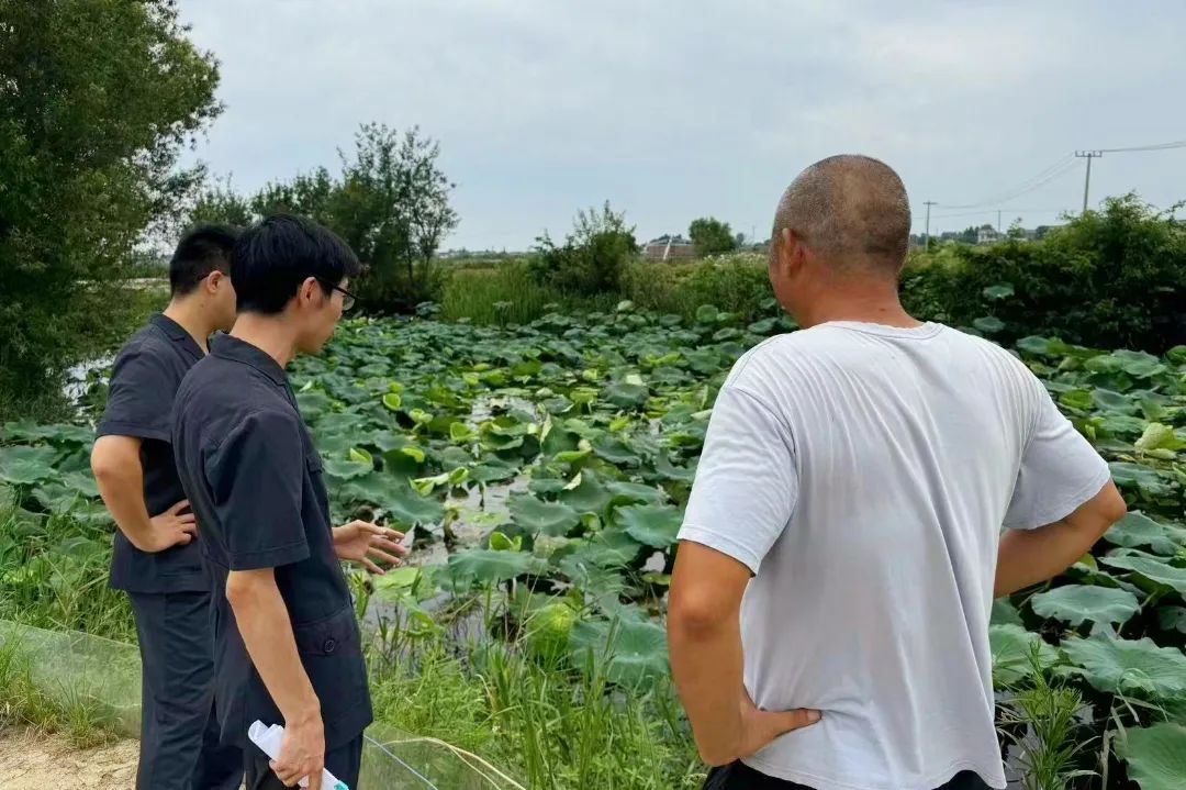 昔日霸主 9600GT 显卡与今之翘楚 HD4000 的纷争与矛盾，性能对比谁更胜一筹？  第1张