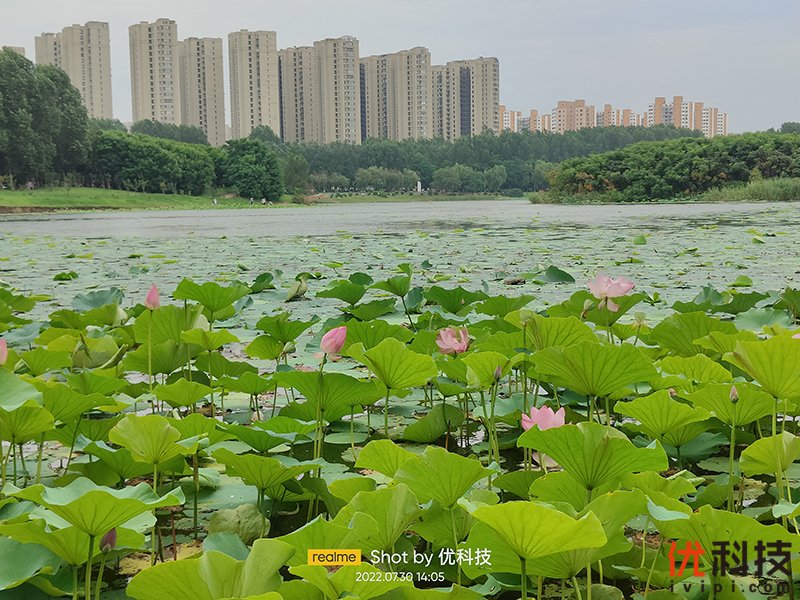 昔日显卡之王 GT750，性能表现无可挑剔，虽略显陈旧但仍有升级空间