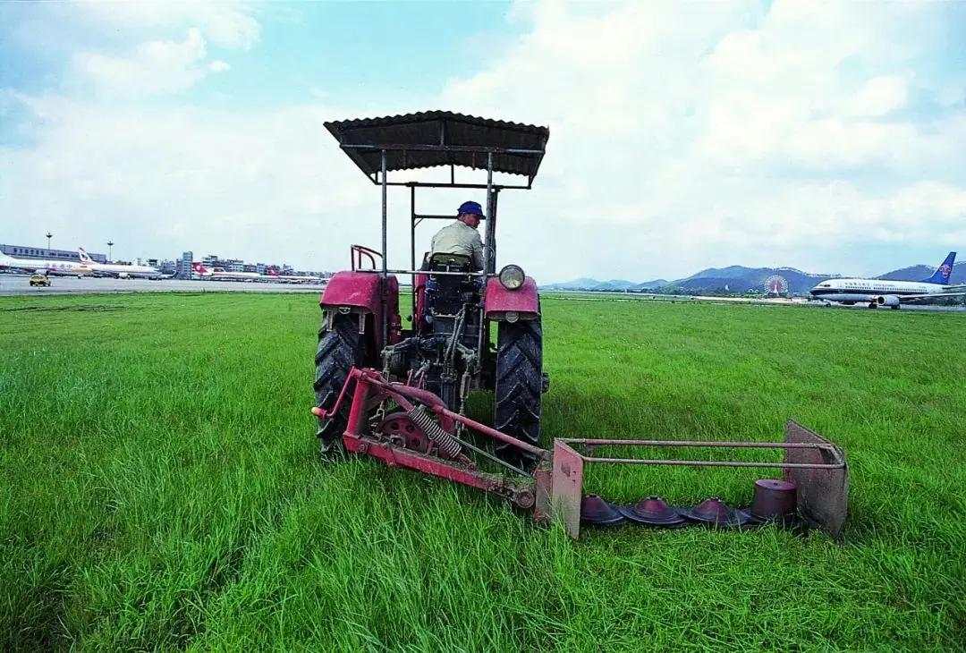 GT730 与 930MX：青春记忆中的烙印，入门级显卡的昔日辉煌