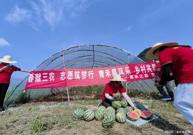 赛扬G5900T 英特尔赛扬 G5900T：小身材大能量，为个人电脑注入新活力  第9张