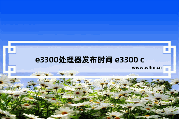 赛扬E3300 赛扬 E3300：家用电脑核心的卓越之选，稳定性与性价比的完美结合  第4张