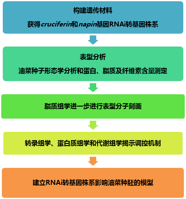 第九代酷睿 i9-7940X：突破技术瓶颈，引领极致性能  第2张