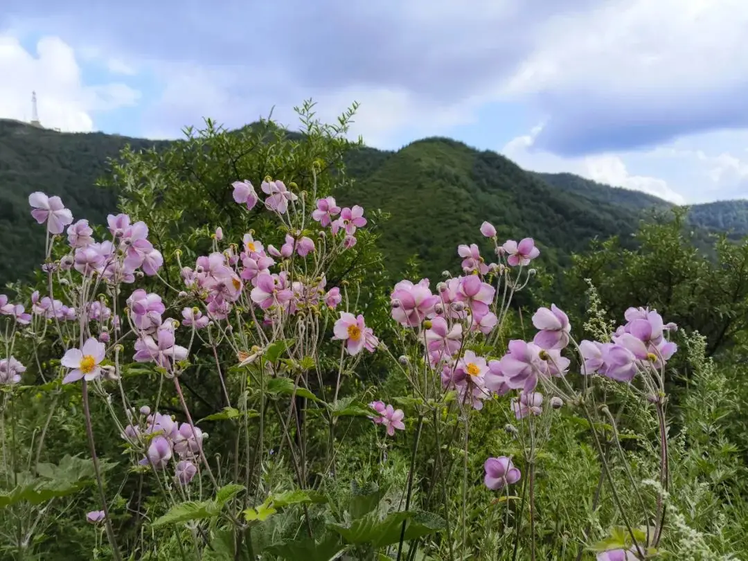 GTForce730 显卡：承载美好回忆，见证辉煌历程  第10张