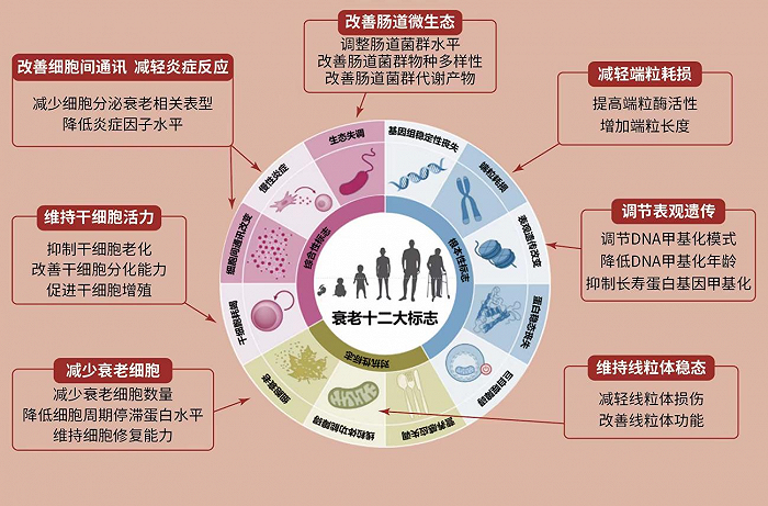 深入了解承载 GT130M 大名的显卡：强大性能与显著功能  第1张