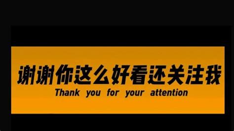 微星 8500GT 显卡驱动问题全解析：从期望到困扰的波折历程