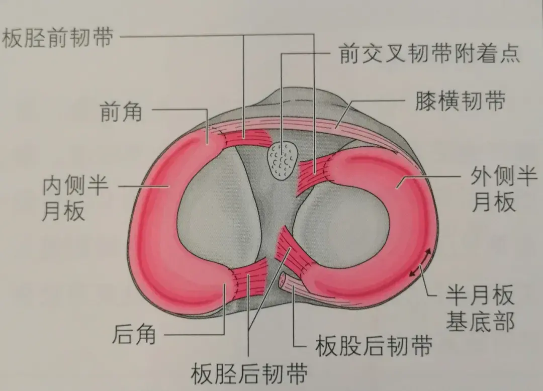 GT740 显卡是独显吗？一文带你深入了解其奥秘  第1张