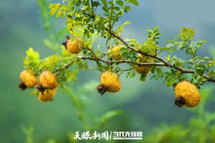 i3-3210：工薪阶层渴望拥有的电脑核心，其魅力究竟何在？  第3张