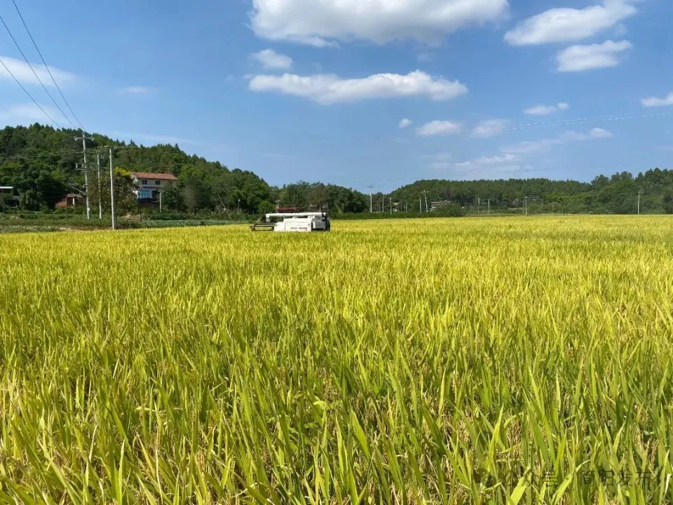 i7-8709G：卓越性能引领科技探索之路，你值得拥有