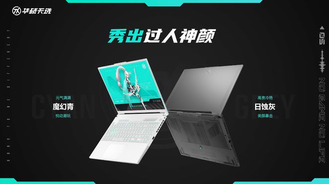 深入解析 GT610 显卡：性能揭秘与游戏表现探讨  第3张