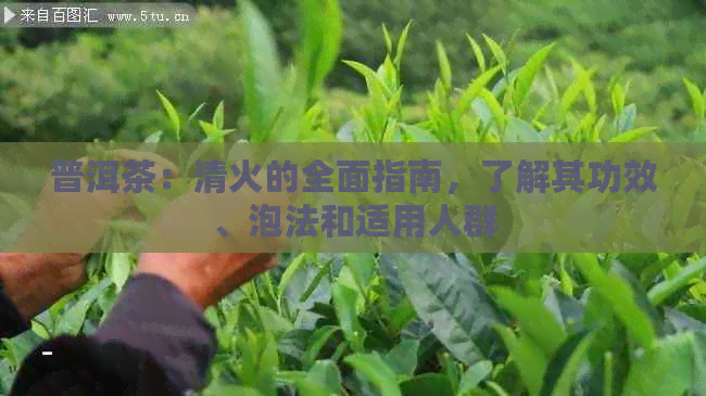 GT1030 显卡驱动版本挑选指南：避免迷茫，提升性能  第2张