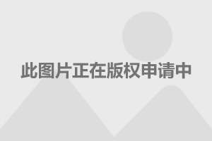 至强 W7-3455：强大性能与无限潜能的完美结合  第5张