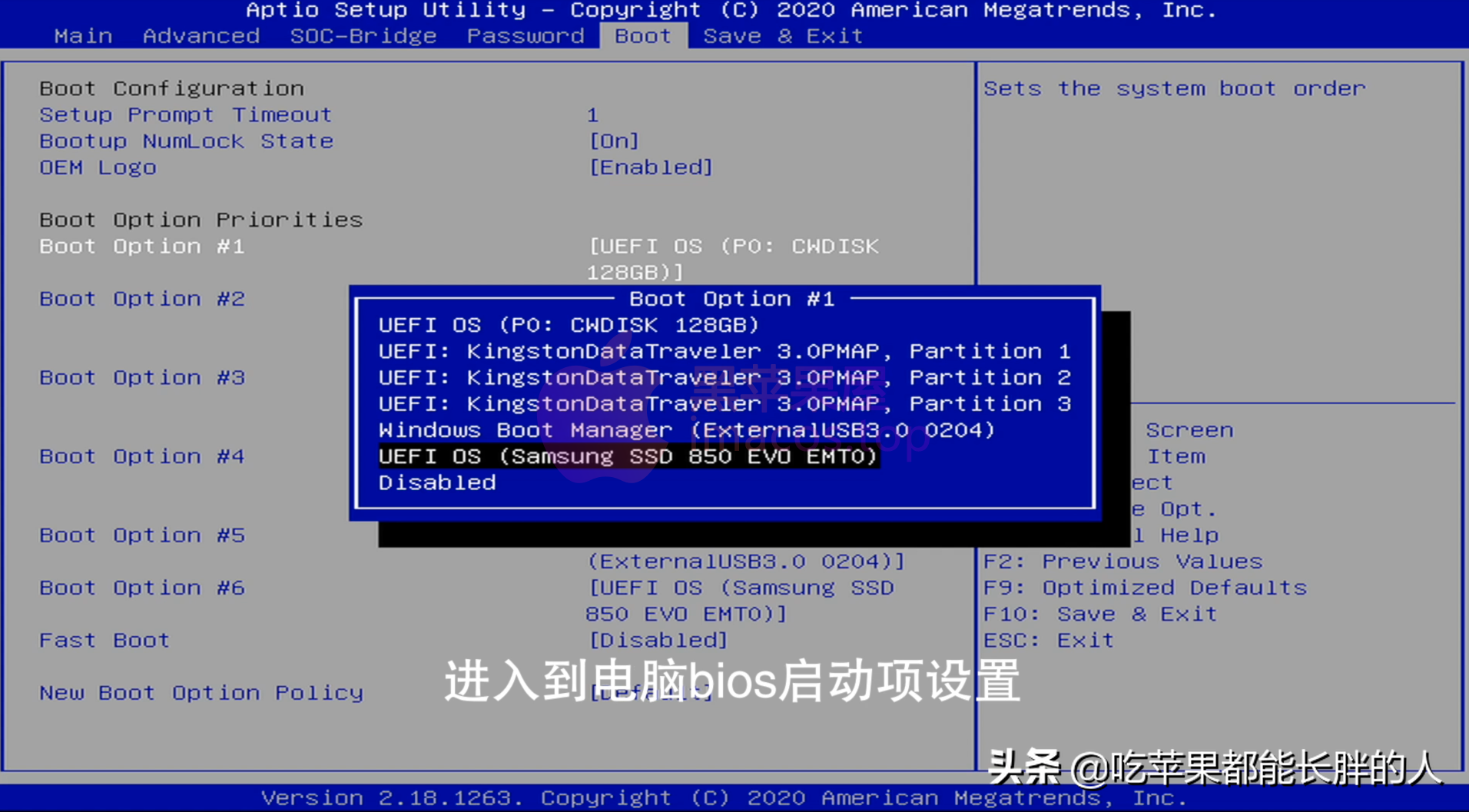 GT1030显卡：黑苹果系统兼容度分析与驱动ID获取方法  第4张