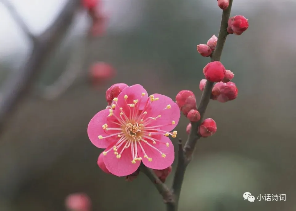 酷睿 i3-10300T：邂逅它的辉煌午后，领略内在美与强大性能  第4张