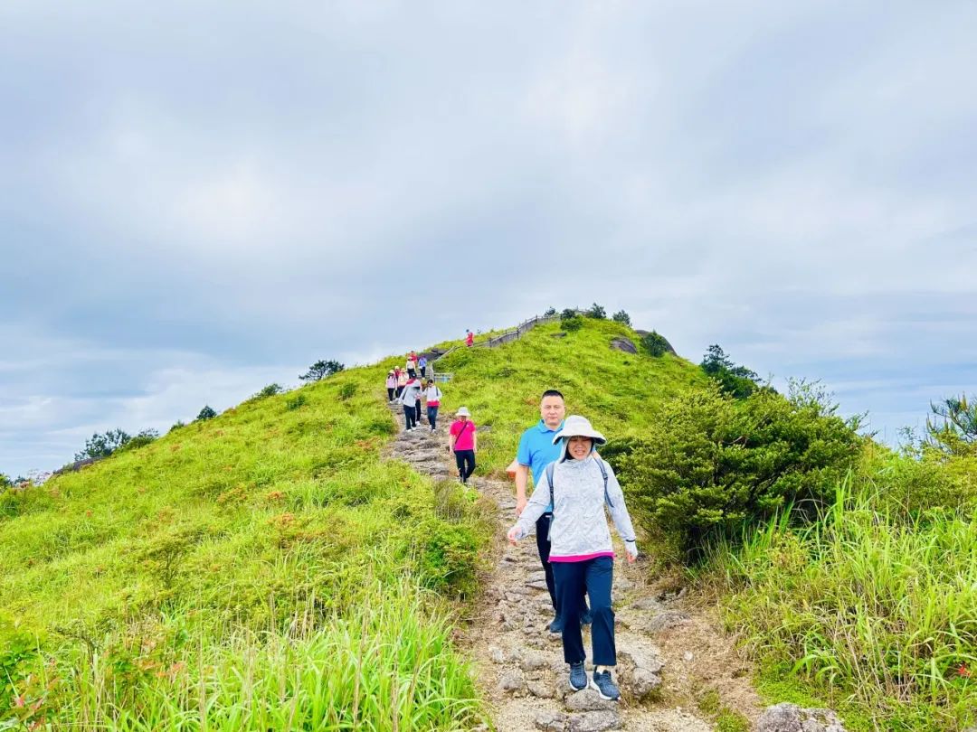 回顾往昔：9500GT 显卡性能评分，重温激情岁月  第3张