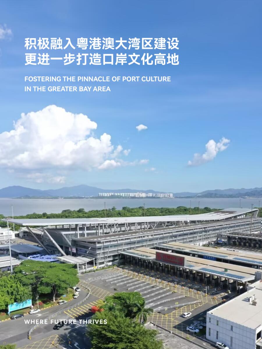 酷睿2 Q8300 英特尔酷睿 2Q8300：时代印记，技术突破与文化象征的完美融合  第3张