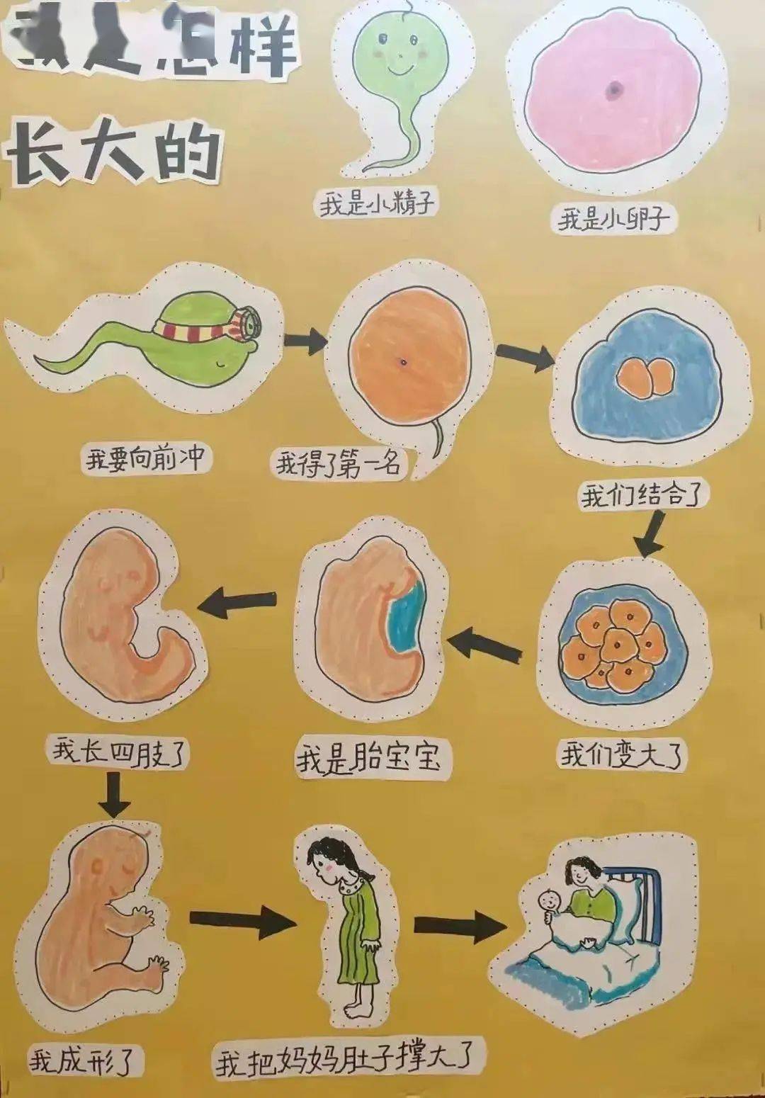 酷睿 2Q8300：卓越性能与探索欲望的完美结合