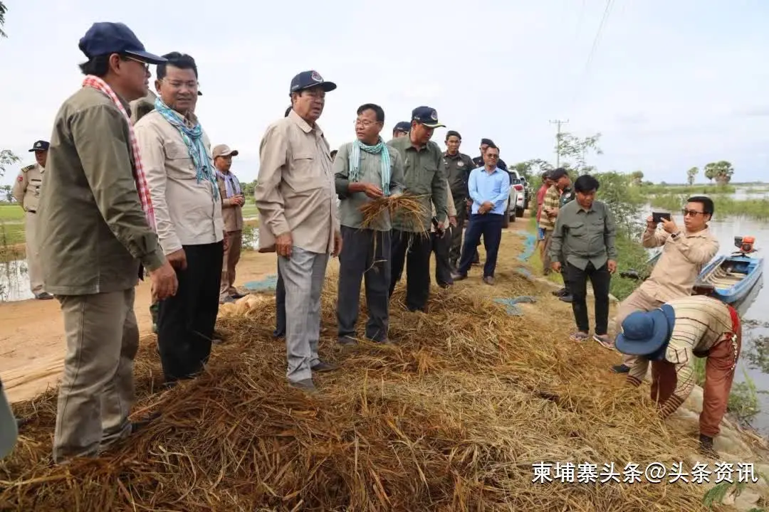 赛扬G3930 赛扬 G3930：小巧玲珑却潜力无穷的处理器，性能表现卓越  第10张