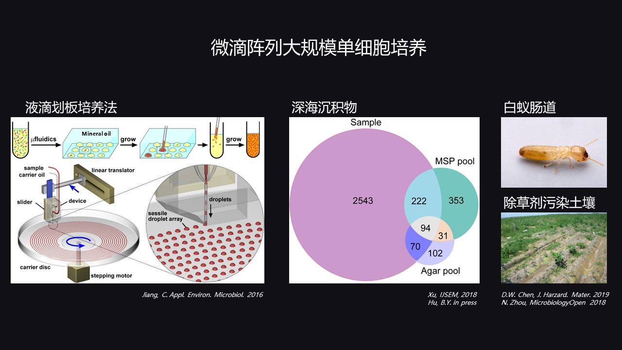 i7-6950X 芯片：赋予电脑全新生命力的神奇之物