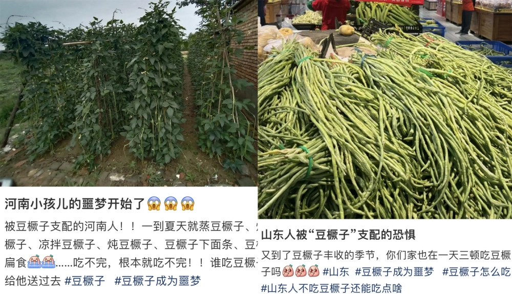 GT740M 显卡驱动崩溃引发的噩梦：故障不断，如何解决？