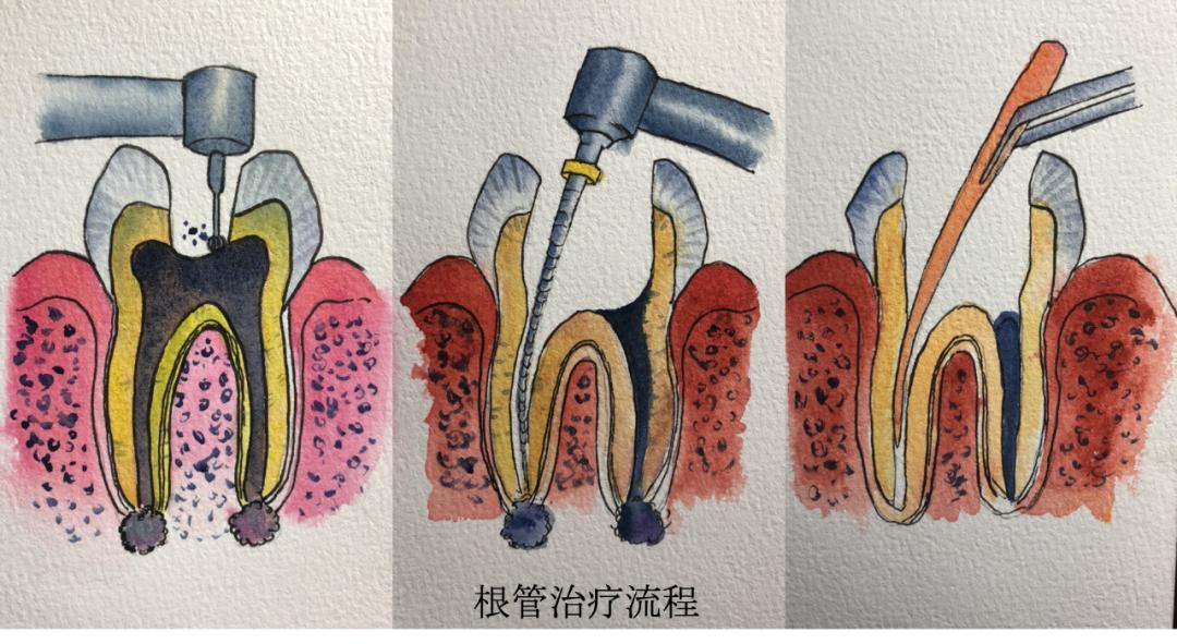 GT730 显卡：全能型还是小角色？揭开其性能与适用性的面纱  第7张