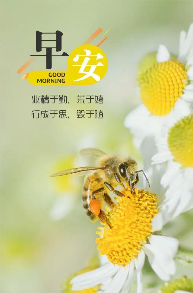 至强 W7-3445：梦想起点与技术奇迹的完美结合  第2张