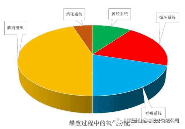 GT740 显卡温度飙升至 83℃，散热问题成关键，该如何解决？  第2张